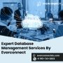 Expert Database Management Services By Everconnect
