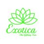 A Symphony of Joy: Exotica's Unmatched Anniversary Balloons 