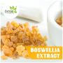 Boswellia Serrata Extract Manufacturer, Supplier & Exporter 
