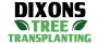 Palm Tree Movers | Dixons Tree Transplanting