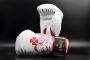 Boxing Equipment Suppliers