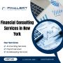 Finalert LLC | Financial Consulting Services in New York