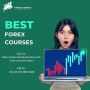 Discover the Best Forex Courses in Today's Financial Market 