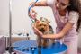 Fishhawk Dog Grooming Services Fishhawk Dog Grooming Services