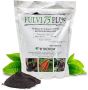 Experience superior plant nutrition with Fitochem's Fulvi 75