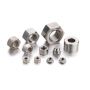 Stainless Steel Hex Nuts