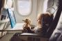 Flying with Furry Friends: Understanding Southwest Airlines'