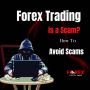 Forex Trading is a Scam? How To Avoid Scams
