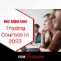 Best Online Forex Trading Courses in 2023