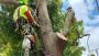 Looking For The Best Garden Maintenance in Bayswater?