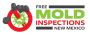 certified mold mitigation services