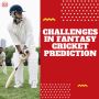 Challenges in Fantasy Cricket Prediction
