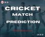 Cricket Match Predictions