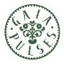Buy Organic Kimchi in uk | Gaia Pulses