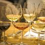 Enjoy Wine Tasting in Corfu