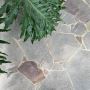 Bring Beauty of Nature with Zangari Porphyry Crazy Paving
