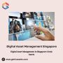 Digital Asset Management in Singapore: Genic Assets