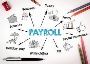 Top 5 Payroll Management System - Genius School ERP