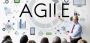Agile Project Management in Germany
