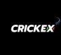 Experience Unmatched Betting Variety with Crickex"