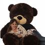Find Teddy Bear for Boyfriend - Giant Teddy