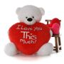Find Best Romantic Love Teddy Bear Online 