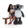 Buy Soft and Cuddly Stuffed Koalas