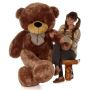 Buy the Softest Brown Teddy Bear for Your Loved Ones
