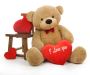 Soft & Cuddly Stuffed Teddy Bears