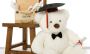 Buy Graduation Stuffed Animal Bears - GiantTeddy