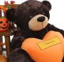 Spooky Halloween Teddy Bears Await You 