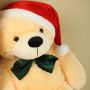 Get Adorable Christmas Bear for Your Loved Once- Giant Teddy