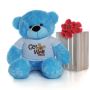 Soft & Cuddly Cool Teddy Bears