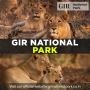 Online Gir National Park Safari Booking: Gir Safari Booking