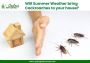 Book Cockroach Pest Control Services in Gurgaon | Godrej Pe