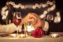 Celebrate Your Special Anniversary Dinner in Brisbane!