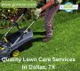 Do You Need Affordable Lawn Care Services In Dallas