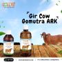 Buy Panchagavya Cow Products