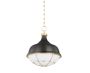 Buy Pendant Lights: The Perfect Addition to Any Room!