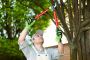 Benefits of Tree Trimming and Pruning | Green Drop