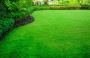 How We Choose the Best Lawn Care Services