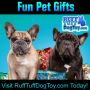 Healthy and Fun Pet Gifts for Dogs and Cats