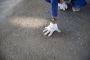 Best Epoxy Flooring Company