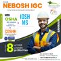  Career Advancement Opportunities in HSE Nebosh IGC Course i