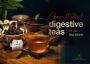Choose the best digestive teas for your tea store