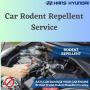 Car Rodent Repellent Service at Hyundai Service Center