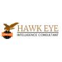 Hawkeye Detective Agency: Expert Private Investigation Solut
