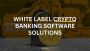  Embrace the Future of Crypto Banking with White Label Banki