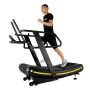Explore Cardio Equipment for Home Gyms at Health Concepts 