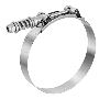 Looking for Spring Loaded t Bolt Hose Clamp in India